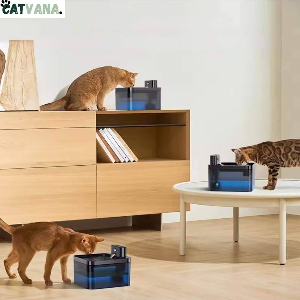 HydraMax 2L - Fontaine à Eau Pour Chat, Sans Fil, Noir