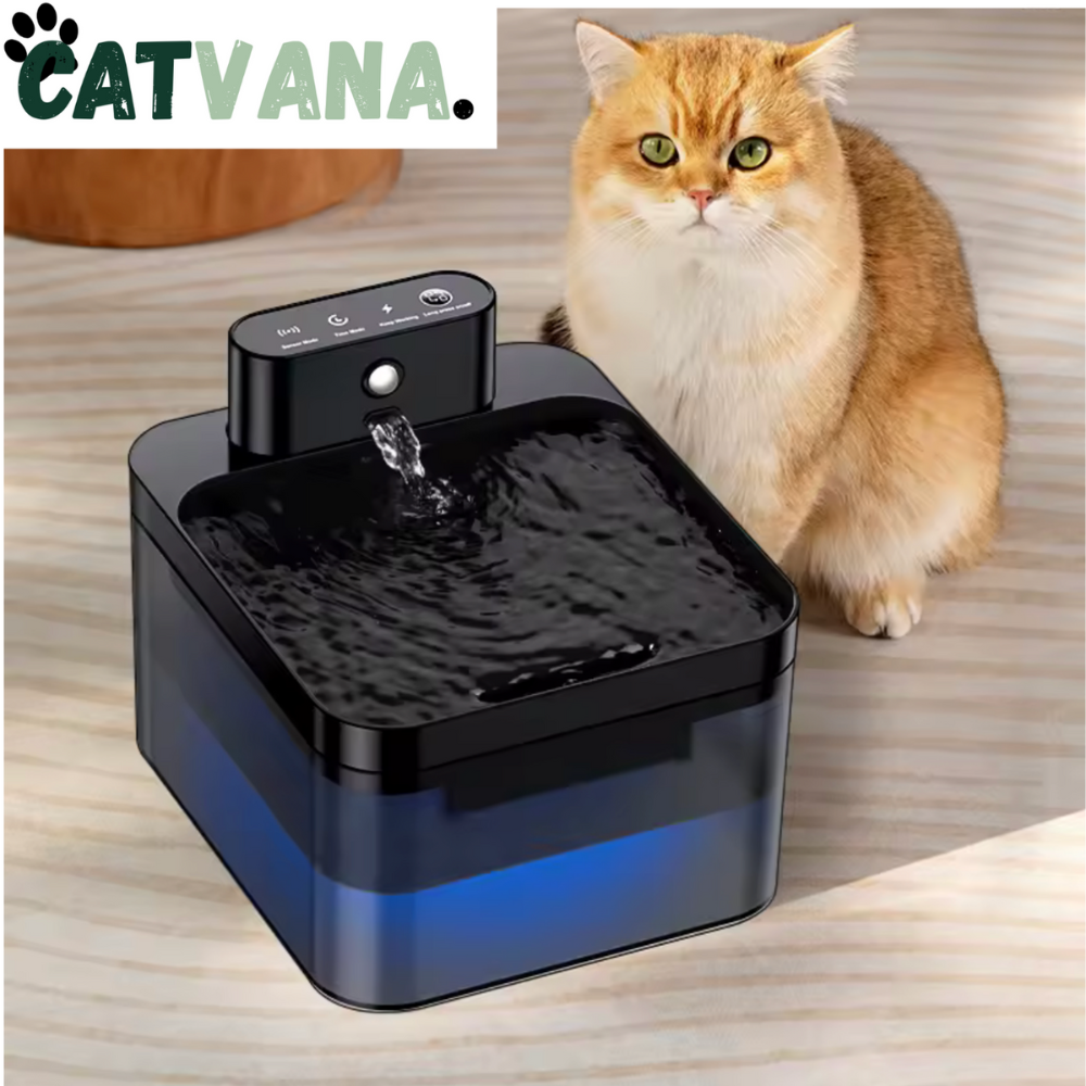 HydraMax 2L - Fontaine à Eau Pour Chat, Sans Fil, Noir