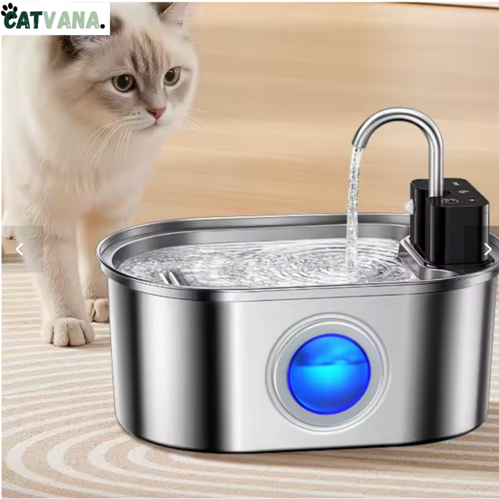 Fontaine à Eau HydraOne Pour Chat 3,2L Inox