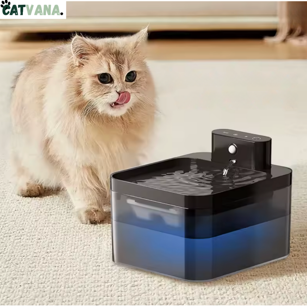 HydraMax 2L - Fontaine à Eau Pour Chat, Sans Fil, Noir