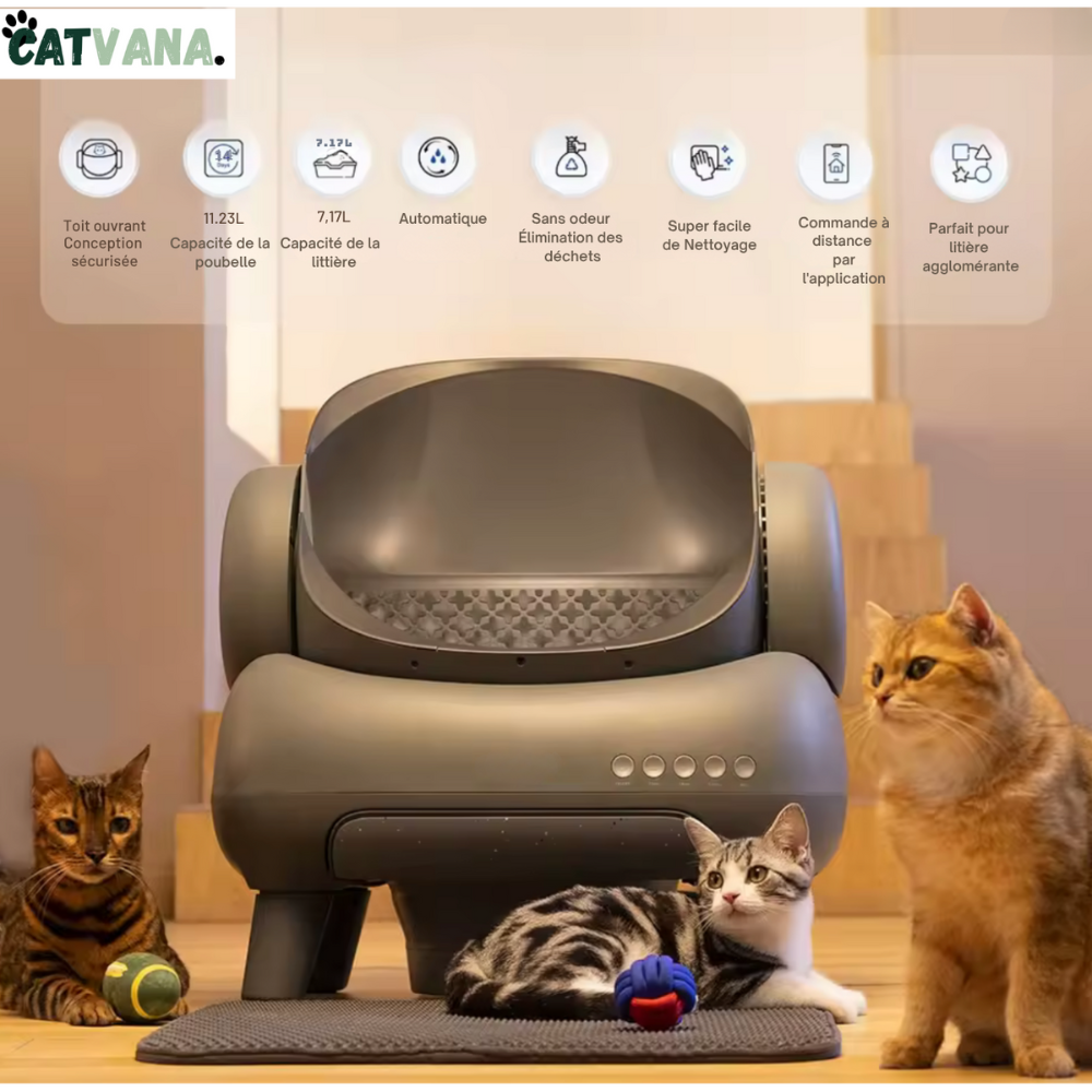 RoyalClean - Litière Automatique, Pour Chat, Connecté