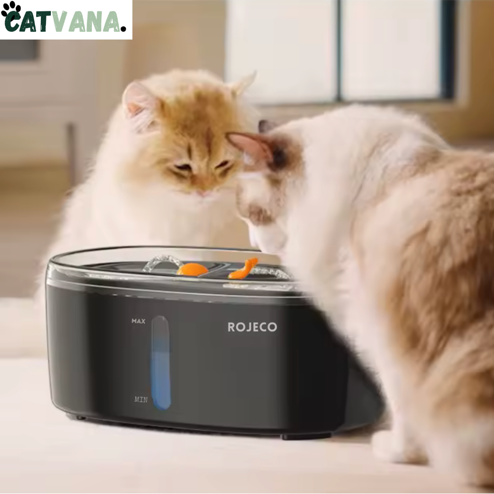 HydraPro Noir 2,5 L - Fontaine à Eau Pour Chat, Double Cuves