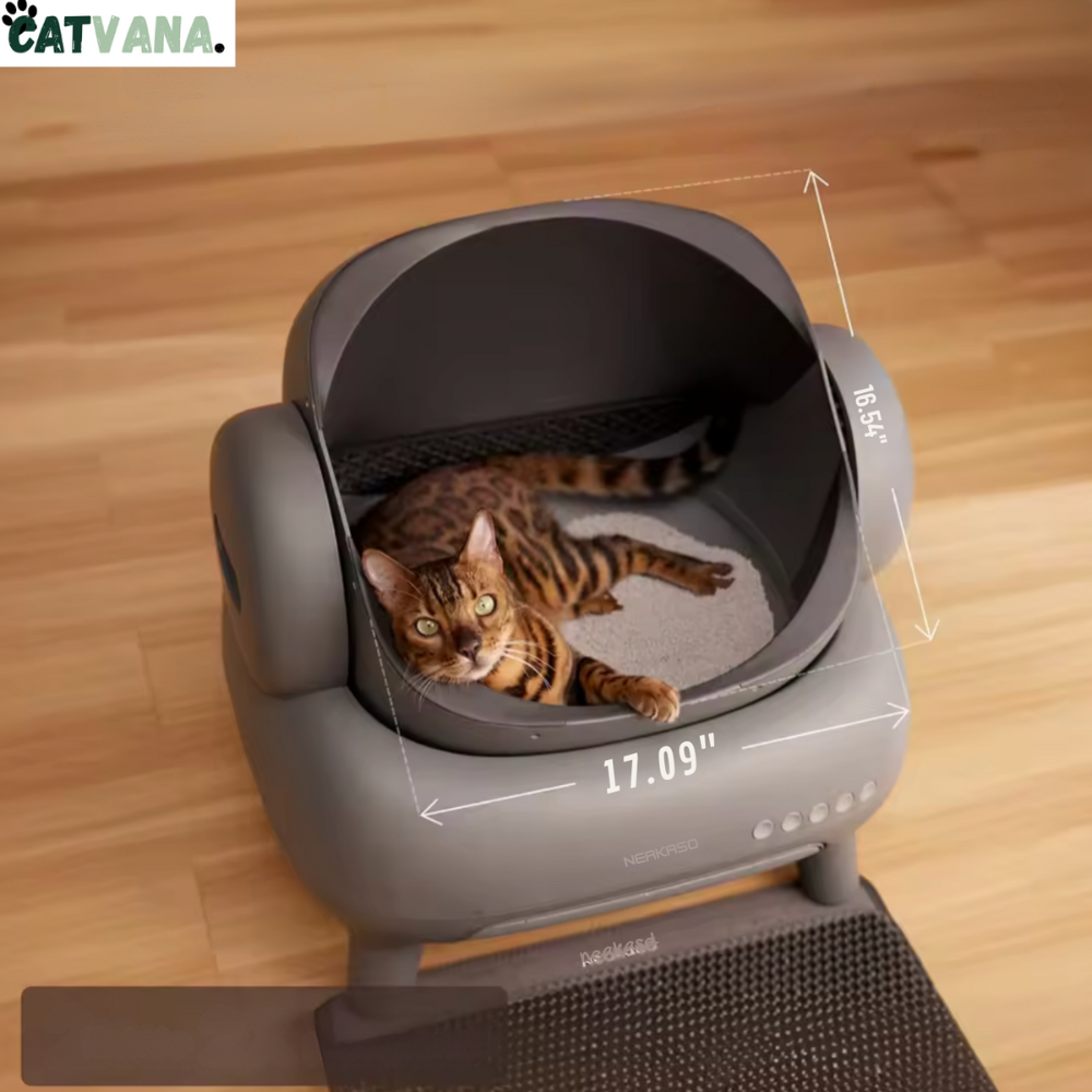 RoyalClean - Litière Automatique, Pour Chat, Connecté