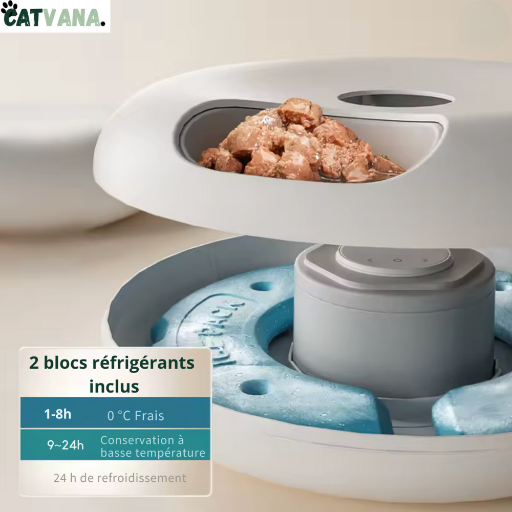 FeedFlow Stream - Distributeur de Nourriture Réfrigérer, 6 Portions, Pour Chat