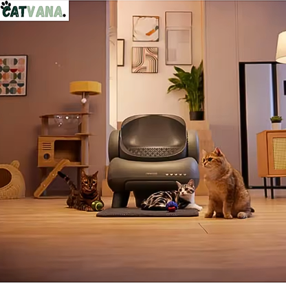 RoyalClean - Litière Automatique, Pour Chat, Connecté