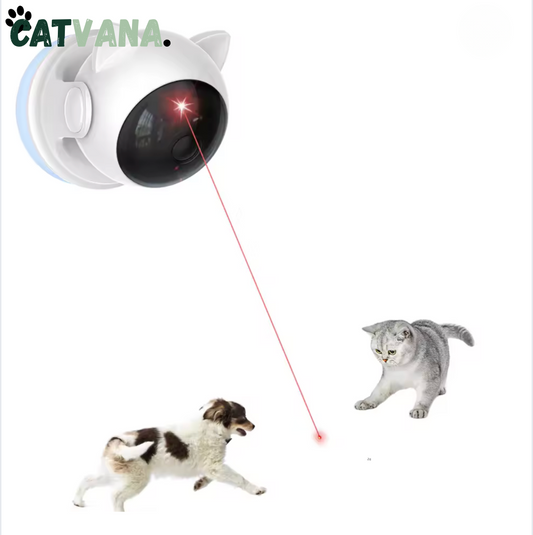 LaserTrack - Laser Automatique 360°, Pour Chat
