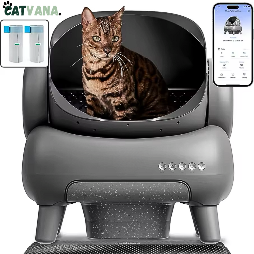 RoyalClean - Litière Automatique, Pour Chat, Connecté