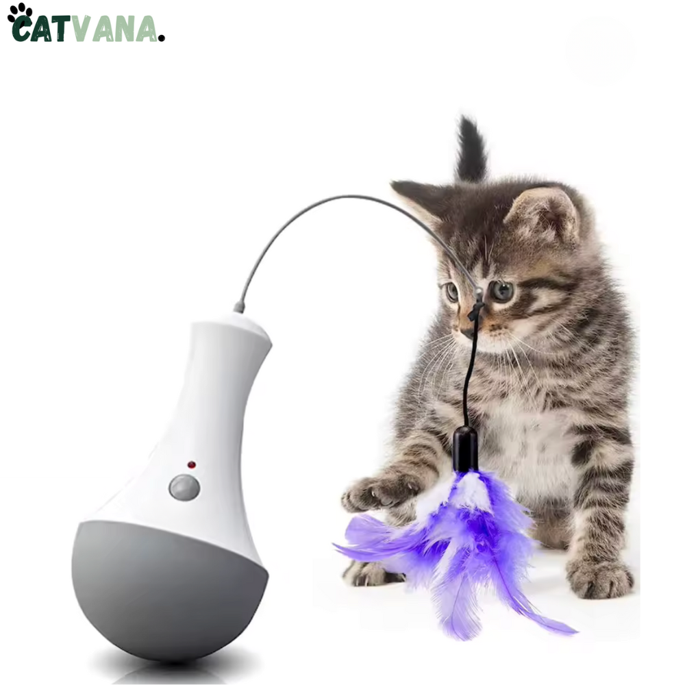 FeatherMotion – Jouet Automatique Interactif Pour Chat